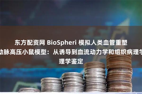 东方配资网 BioSpheri 模拟人类血管重塑的肺动脉高压小鼠模型：从诱导到血流动力学和组织病理学鉴定